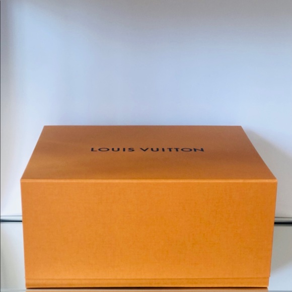 Louis Vuitton Box, Dust Bag & Pillow - Picture 2 of 3